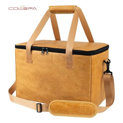 Fabrik-Direkt DuPont/Tyvek Papier BBQ Isolierte Tasche mit Reißverschluss Öffnung Große Kapazität Fleisch Getränke Lagerung Isolierte Tasche